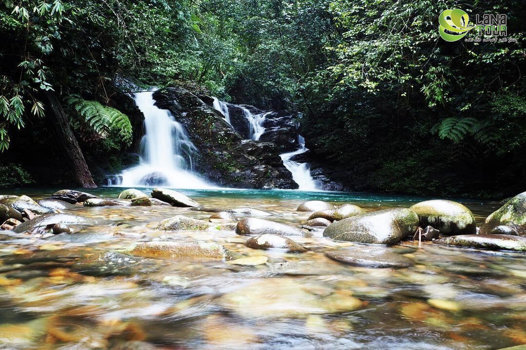 Tour Du Lịch Vườn Quốc Gia Bạch Mã Trong 1 Ngày