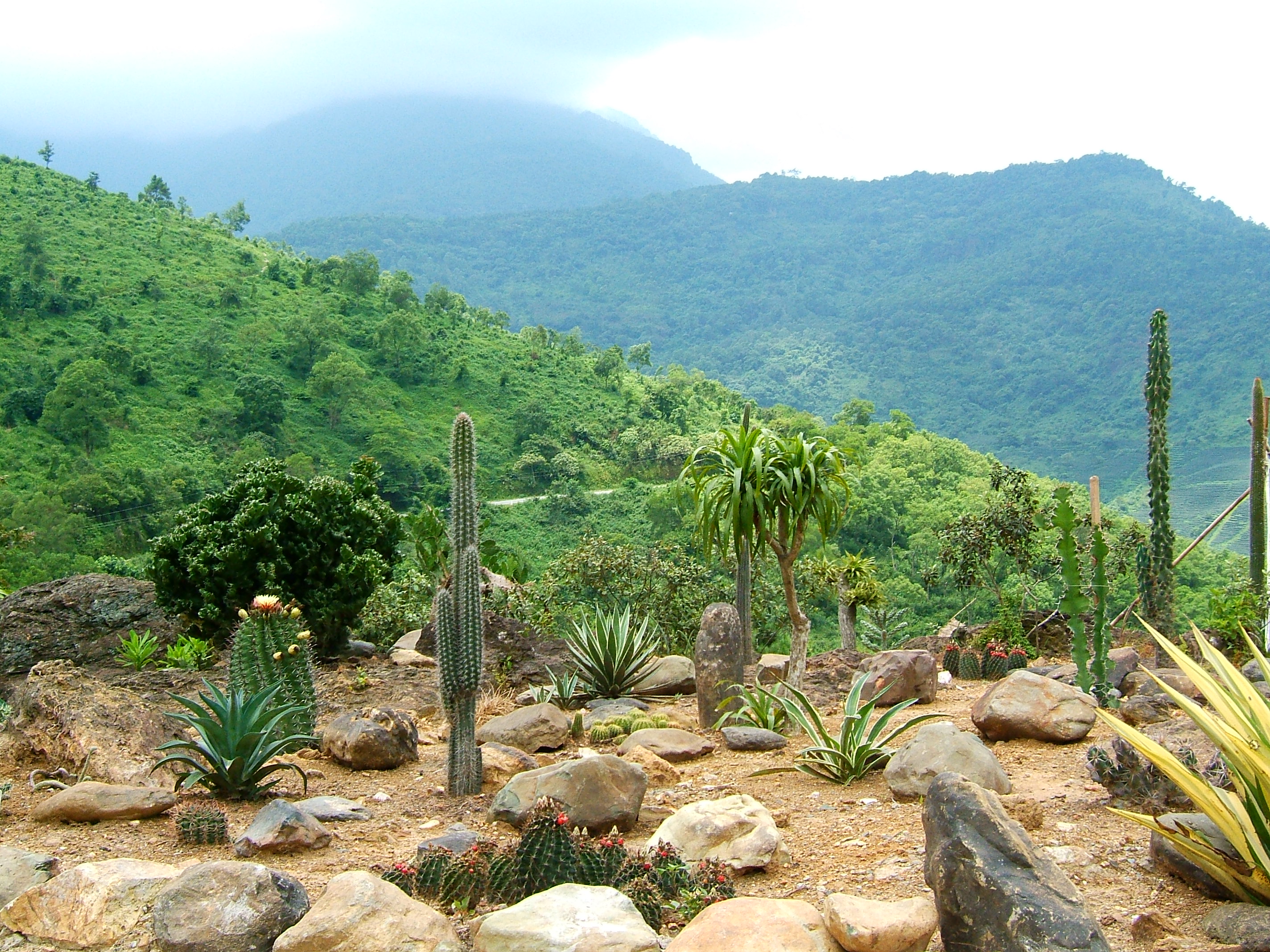 Tour Du Lịch Vườn Quốc Gia Bạch Mã Trong 1 Ngày